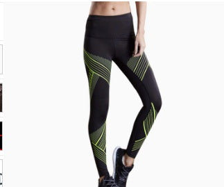 Unisex Activewear - High Stretch, Quick-Drying, Breathable - Chic And Current